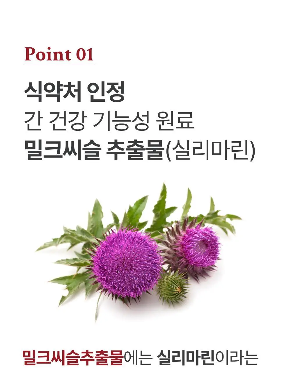 대웅제약 에너씨슬 콜레다운 30캡슐 (1개월분) 상세페이지 10