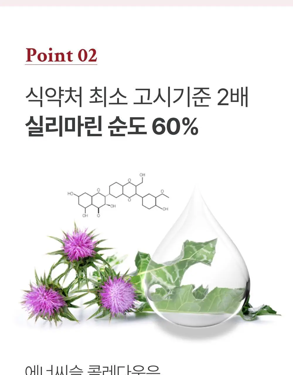 대웅제약 에너씨슬 콜레다운 30캡슐 (1개월분) 상세페이지 14