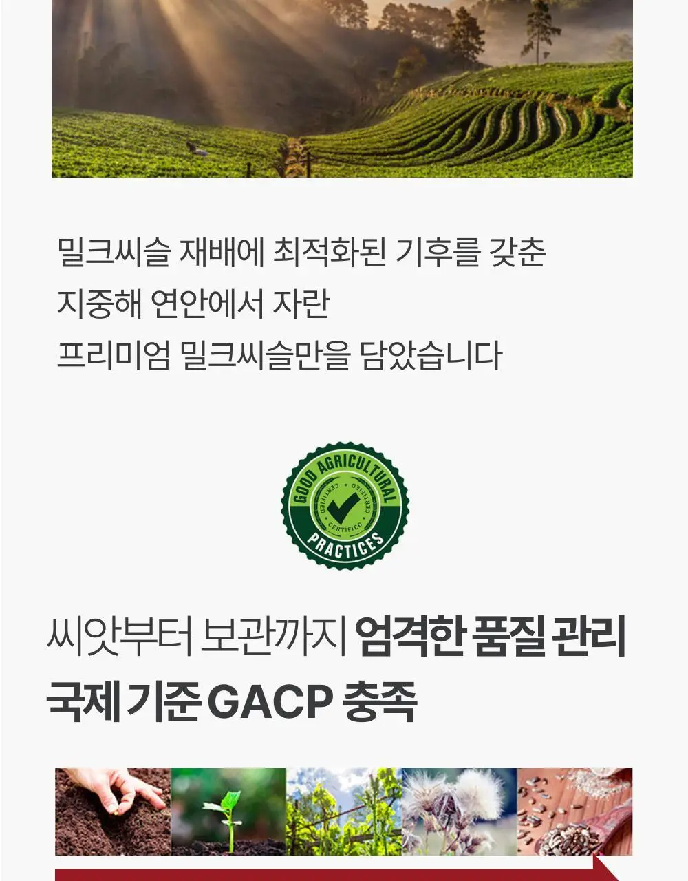 대웅제약 에너씨슬 콜레다운 30캡슐 (1개월분) 상세페이지 18