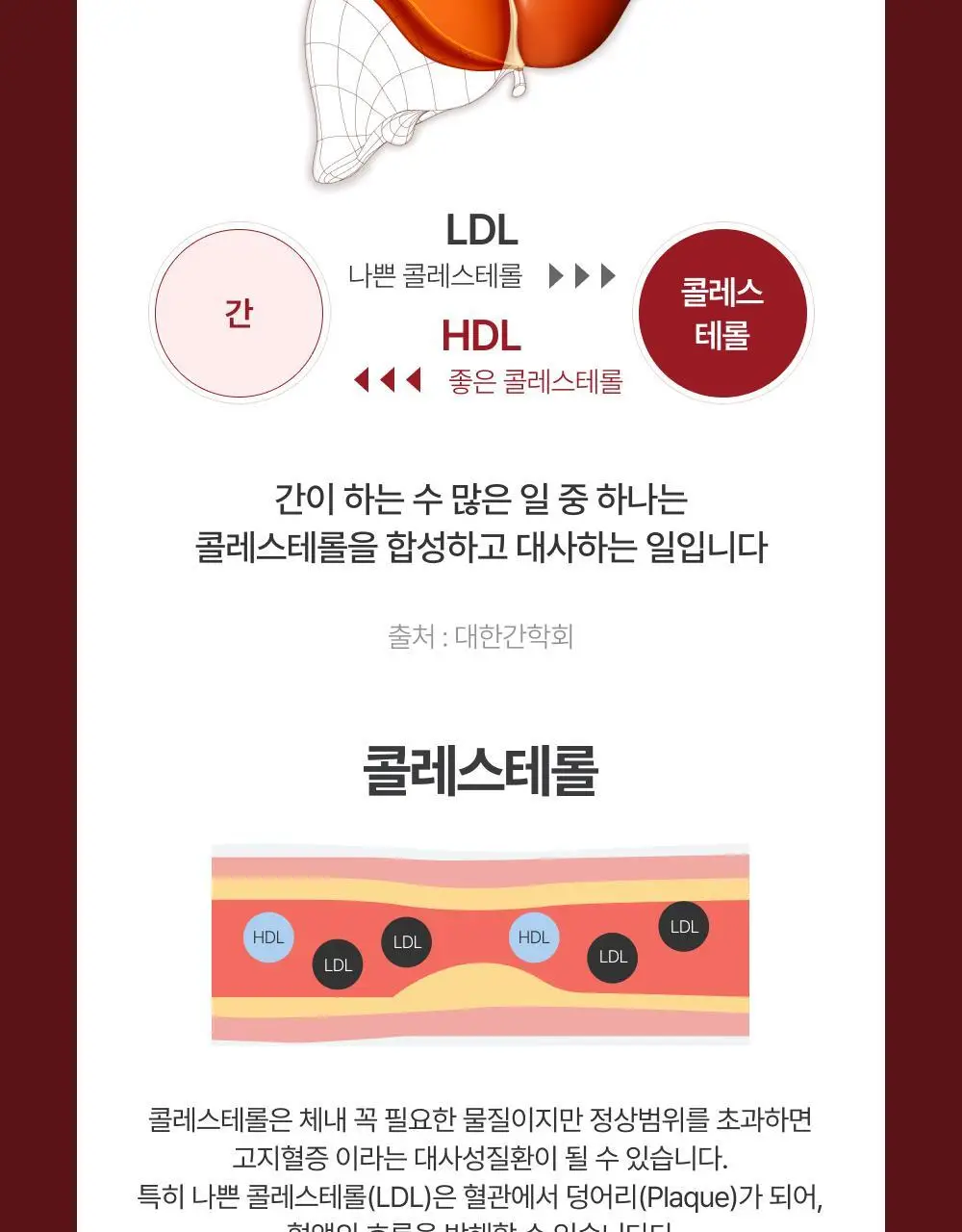 대웅제약 에너씨슬 콜레다운 30캡슐 (1개월분) 상세페이지 37
