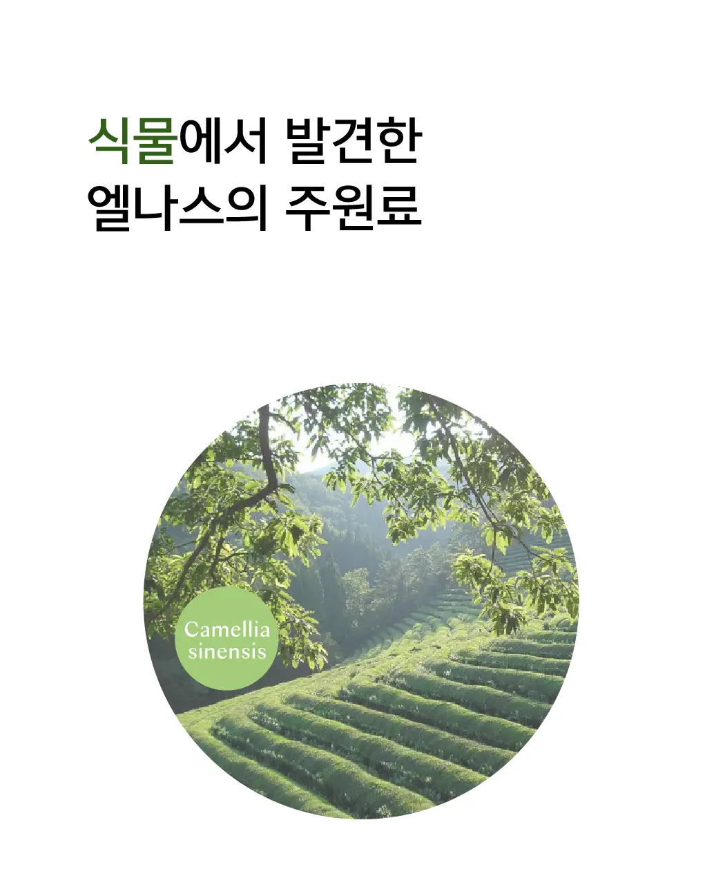 세레비 엘나스 Calm & Relax 스트레스 케어 60정 (2개월분) 상세페이지 28
