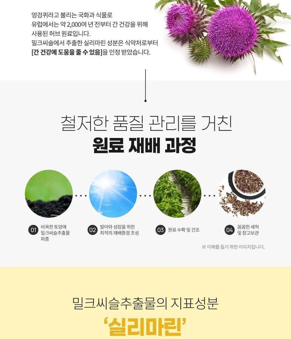 얼라이브 원스데일리 + 밀크시슬 60정 (2개월분) 상세페이지 7