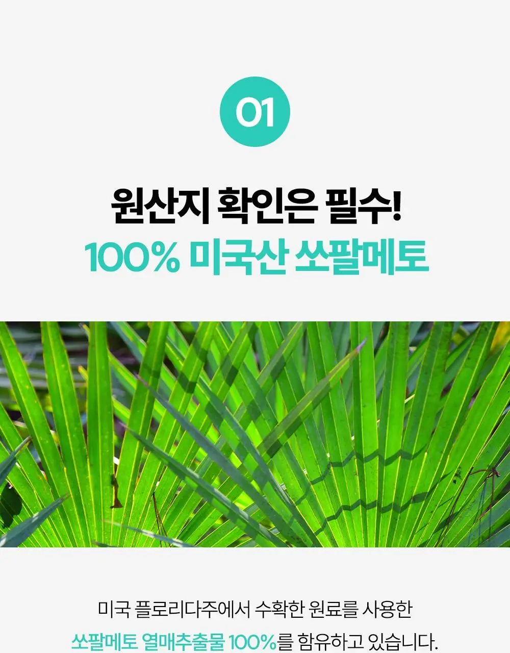 익스트림 쏘팔메토 옥타코사놀 550mgX30캡슐(30일분) 상세페이지 16