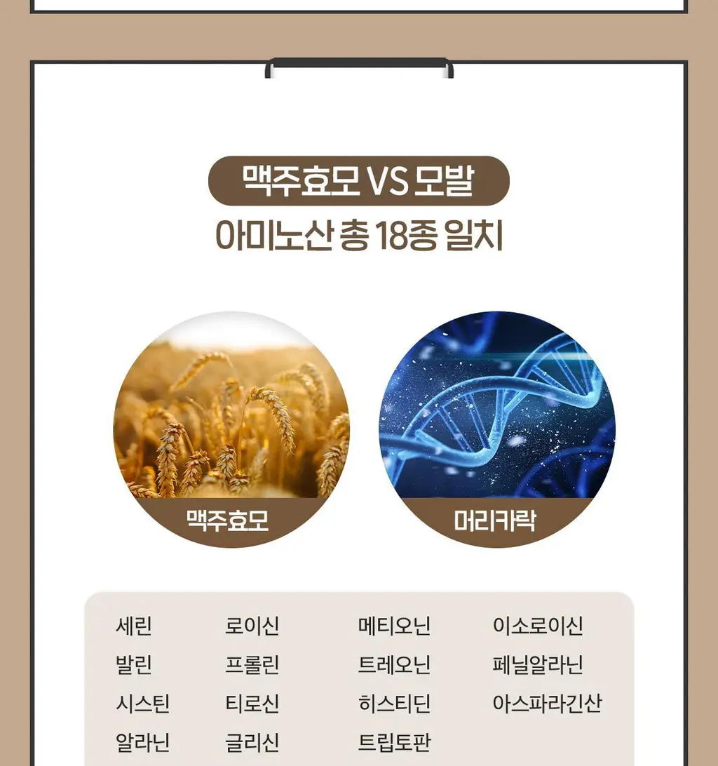 닥터린 독일산 맥주효모 비오틴 15000 맥스 60정 (2개월분) 상세페이지 16