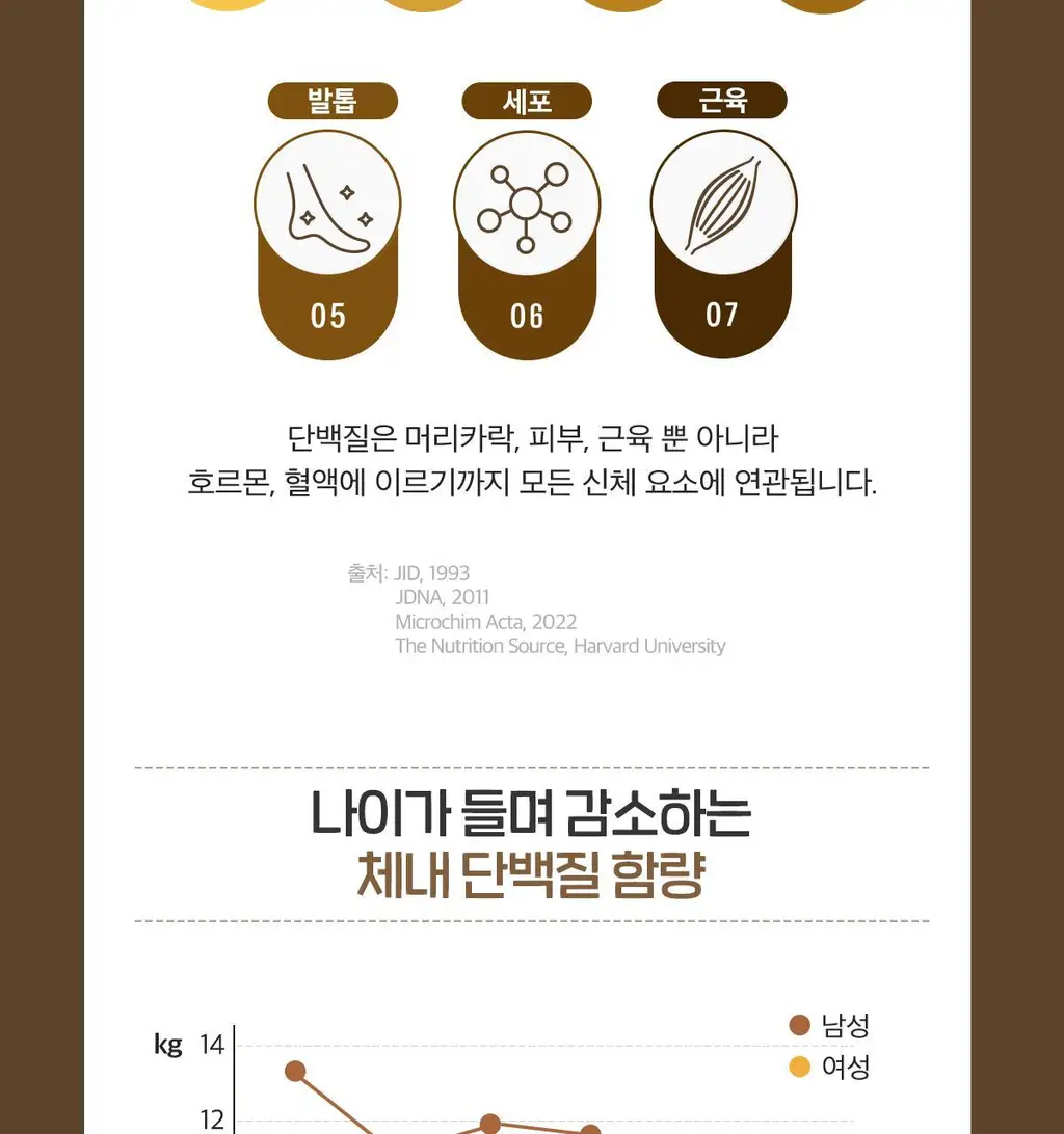 닥터린 독일산 맥주효모 비오틴 15000 맥스 60정 (2개월분) 상세페이지 60