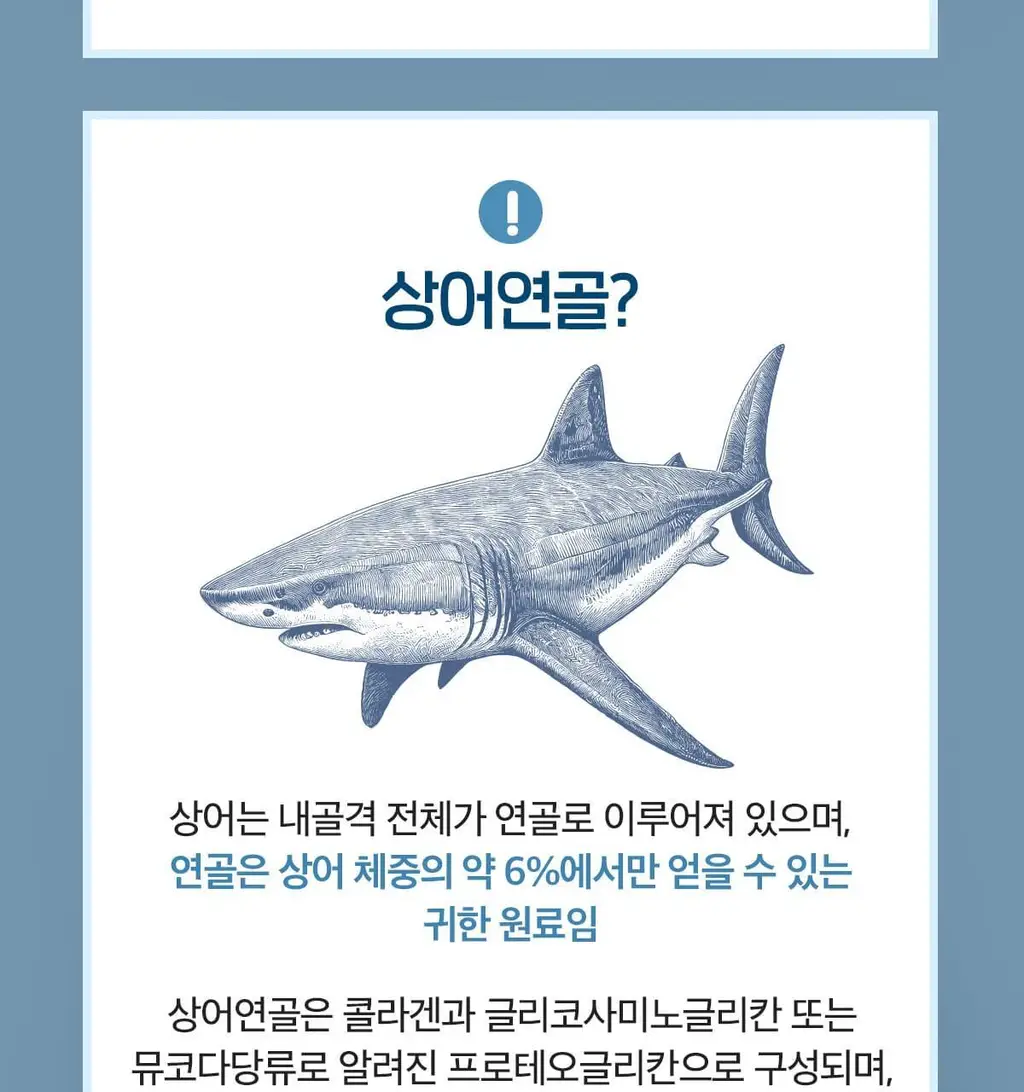 닥터린 콘드로이친 1200 맥스 60정 (60일분) 상세페이지 16