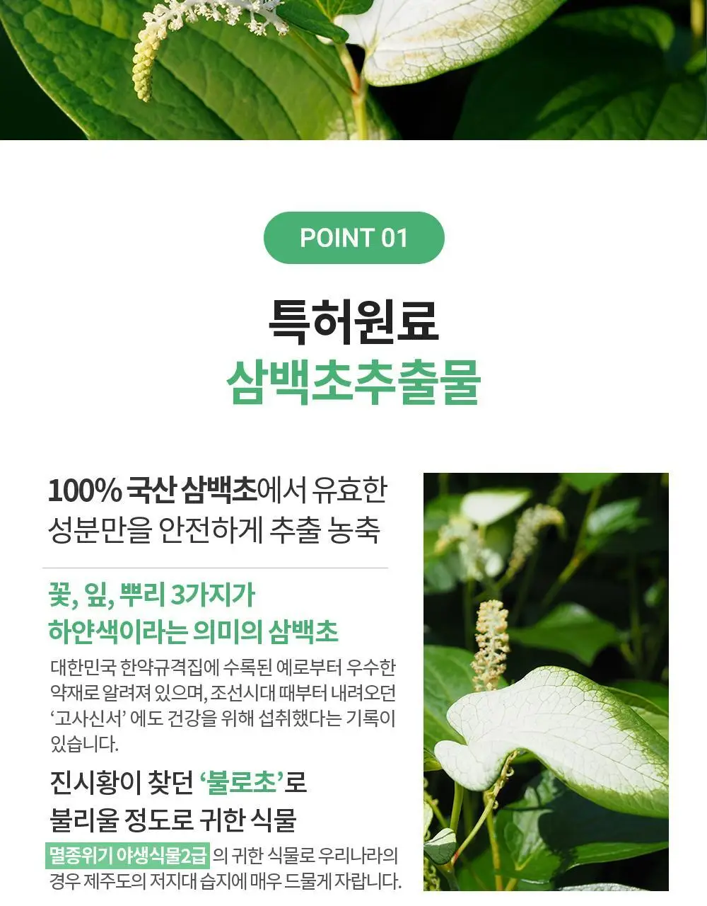 닥터파이토 파이토블락 10개입 (10일분) 상세페이지 13
