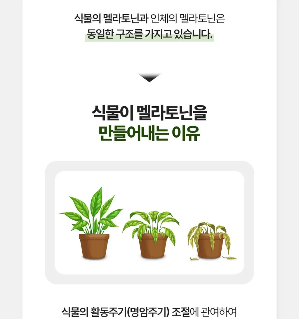 락티브 식물성 멜라토닌 함유 웰니스 나이트 90정 (3개월분) 상세페이지 22