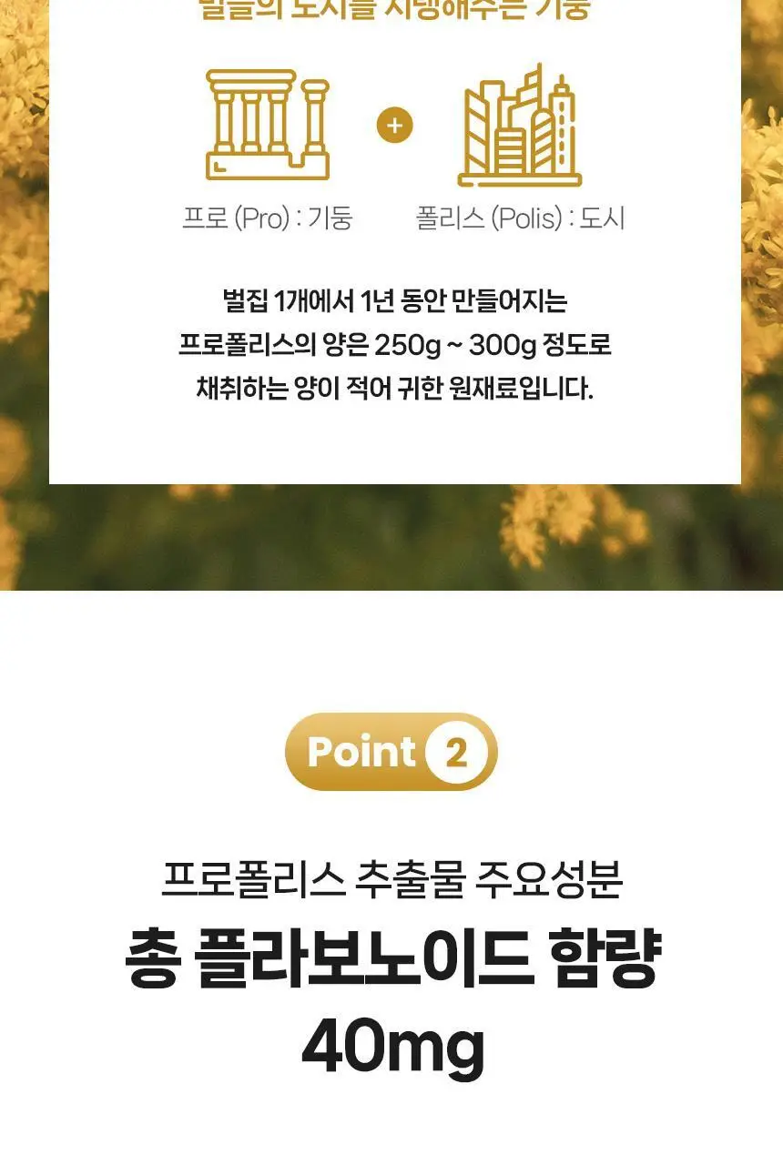 마더네스트 프로폴리스 맥스 150캡슐 (150일분) 상세페이지 8