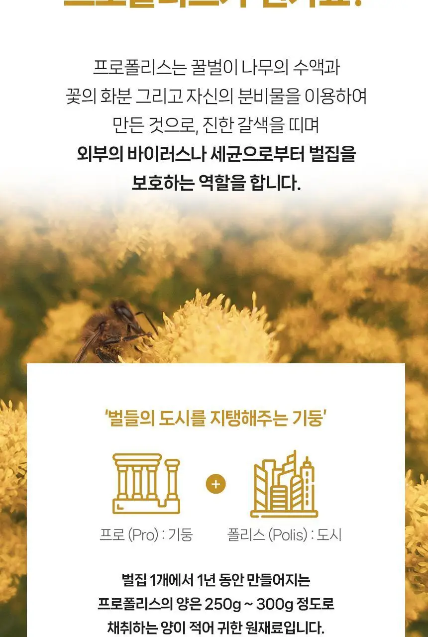 마더네스트 프로폴리스 맥스 60캡슐 (60일분) 상세페이지 10
