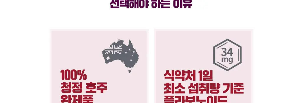 블랙모어스 프로폴리스 60정 트윈팩 (2개월분) 상세페이지 5