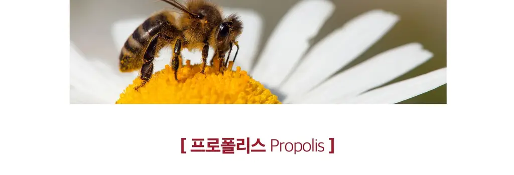 블랙모어스 프로폴리스 60정 (30일분) 상세페이지 9