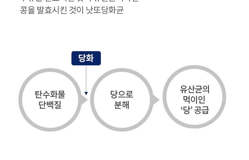 비타민하우스 낙산균 프로바이오틱스 솔루션4 30포 (1개월분) 상세페이지 23