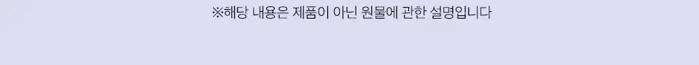 비타민하우스 식물성 멜라토닌 함유 스피드 멜라온 액상 14포(14일분) 상세페이지 16