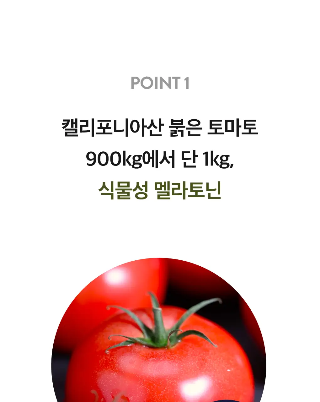 세레비 멜라딥스 Deep Night 식물성 멜라토닌 30정 (1개월분) 상세페이지 13