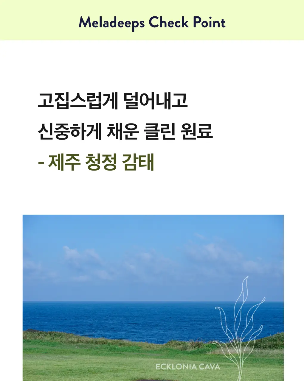 세레비 멜라딥스 Deep Night 식물성 멜라토닌 30정 (1개월분) 상세페이지 26