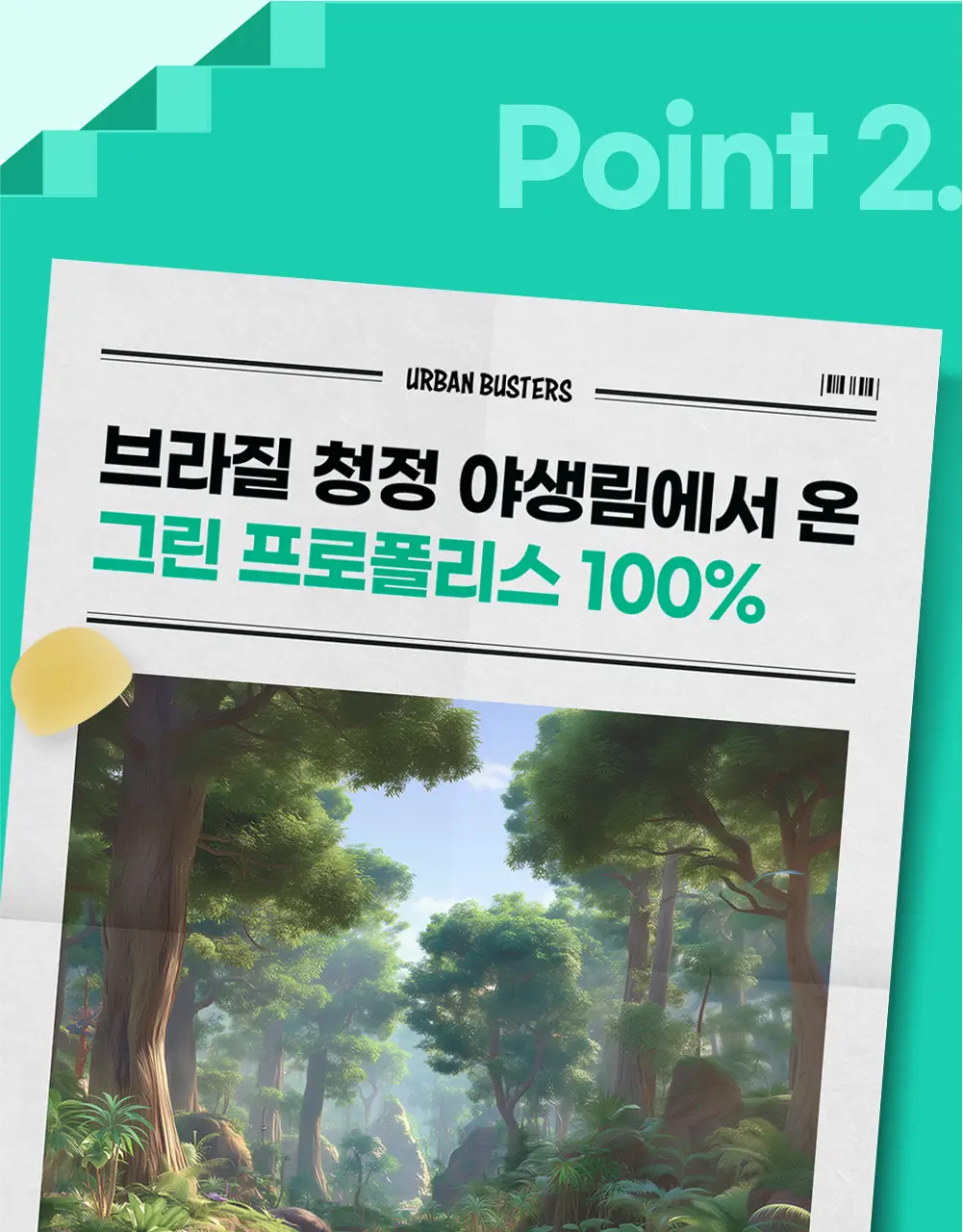 어반버스터즈 프로폴리스 면역 구미 (1개월분) 상세페이지 11