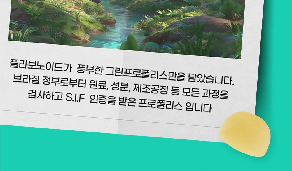 어반버스터즈 프로폴리스 면역 구미 (1개월분) 상세페이지 12
