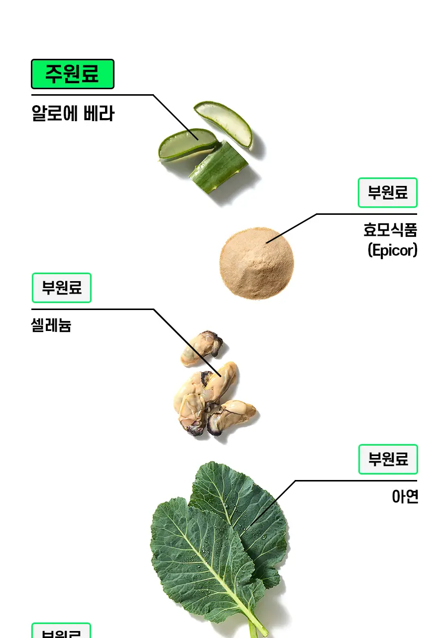 웰릿 이뮨베라 알로에겔 14포 (2주분) 상세페이지 37
