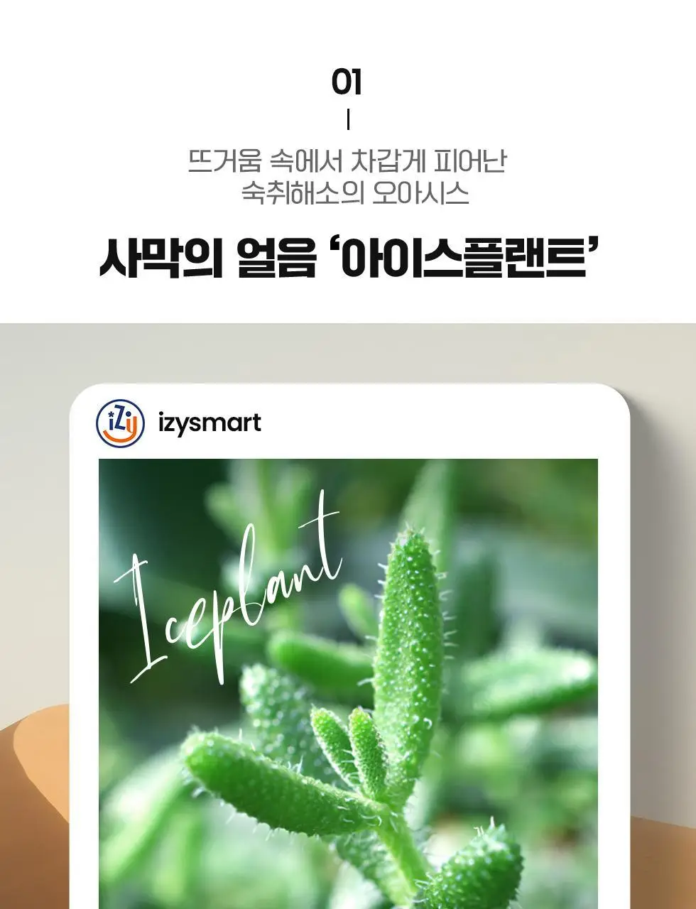 이지스마트 필름 8매 상세페이지 7