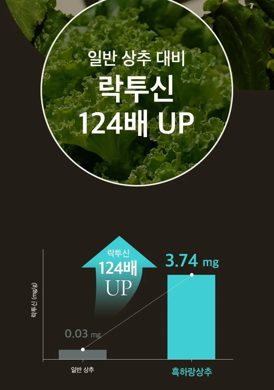 8APM 딥 나잇 티 1.5gX20개입 (20일분) 상세페이지 21