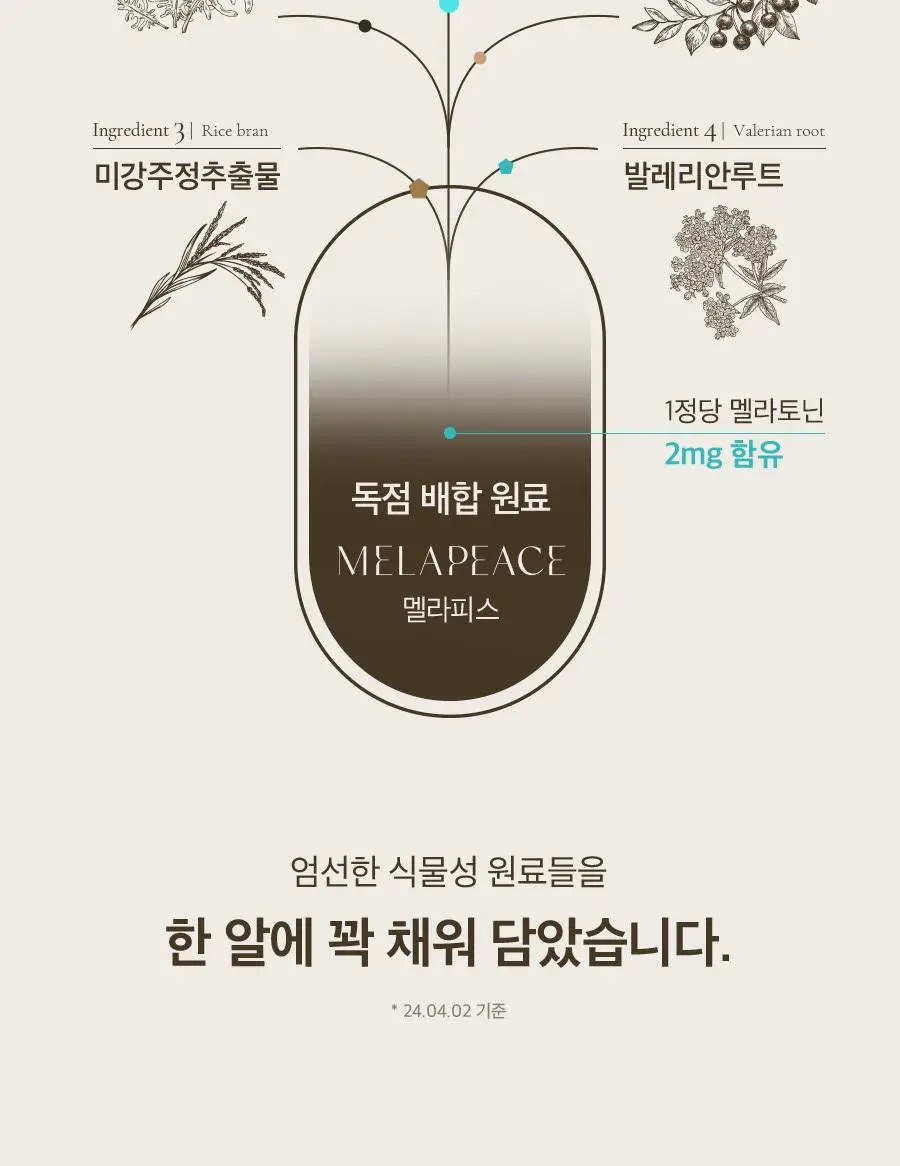 8APM 식물성 멜라토닌 함유 멜라피스 800mg 30정 (1개월분) 상세페이지 32