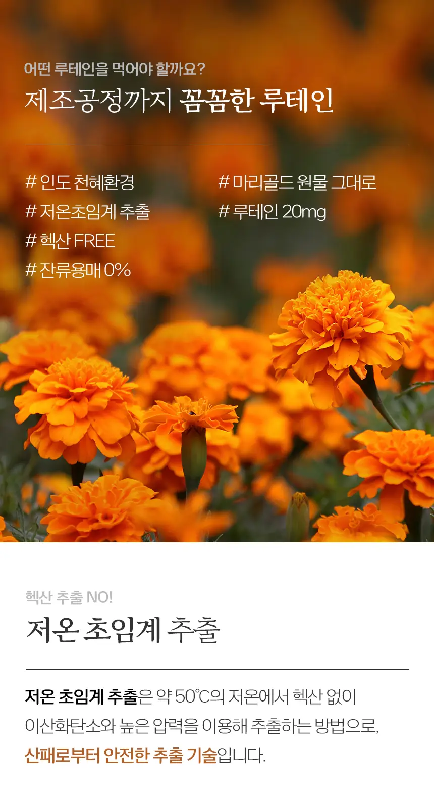 뉴오리진 루테인 60캡슐 (2개월분) 상세페이지 5