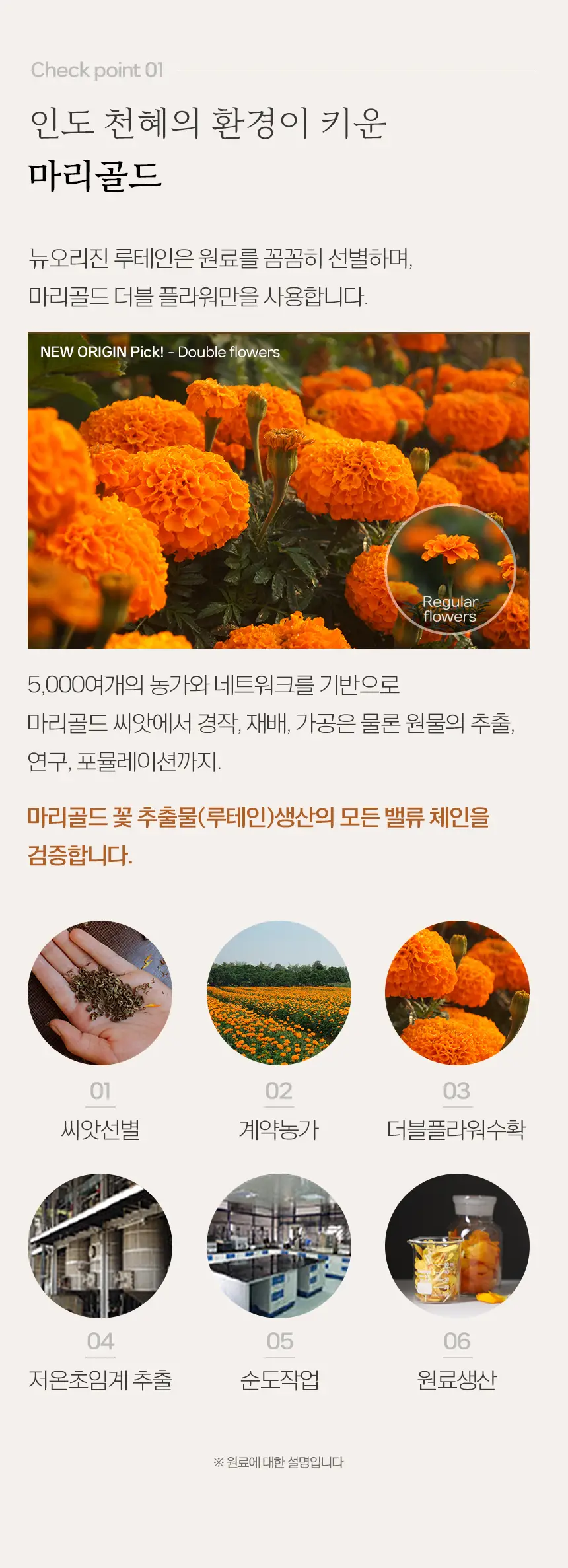 뉴오리진 루테인 60캡슐 (2개월분) 상세페이지 7