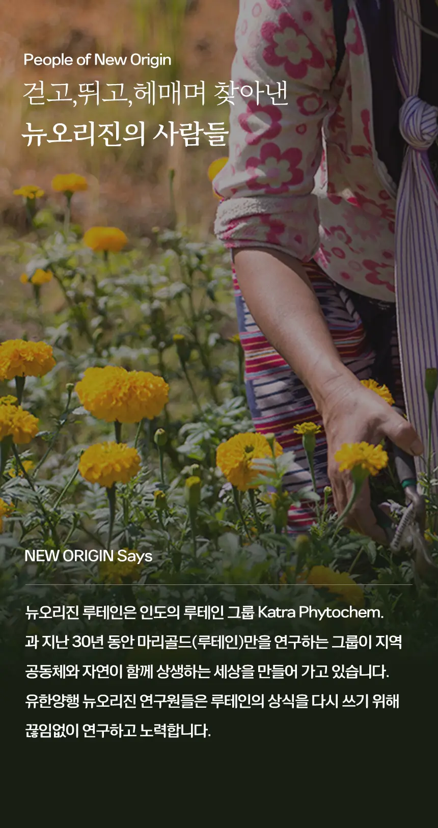 뉴오리진 루테인 60캡슐 (2개월분) 상세페이지 8