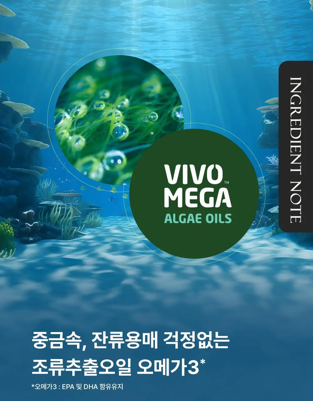 뉴오리진 알티지 오메가3 60캡슐 (1개월분) 상세페이지 4