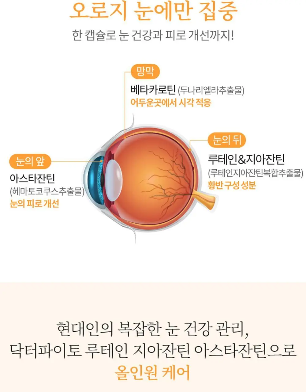 닥터파이토 루테인 지아잔틴 아스타잔틴 30캡슐 (1개월분) 상세페이지 4