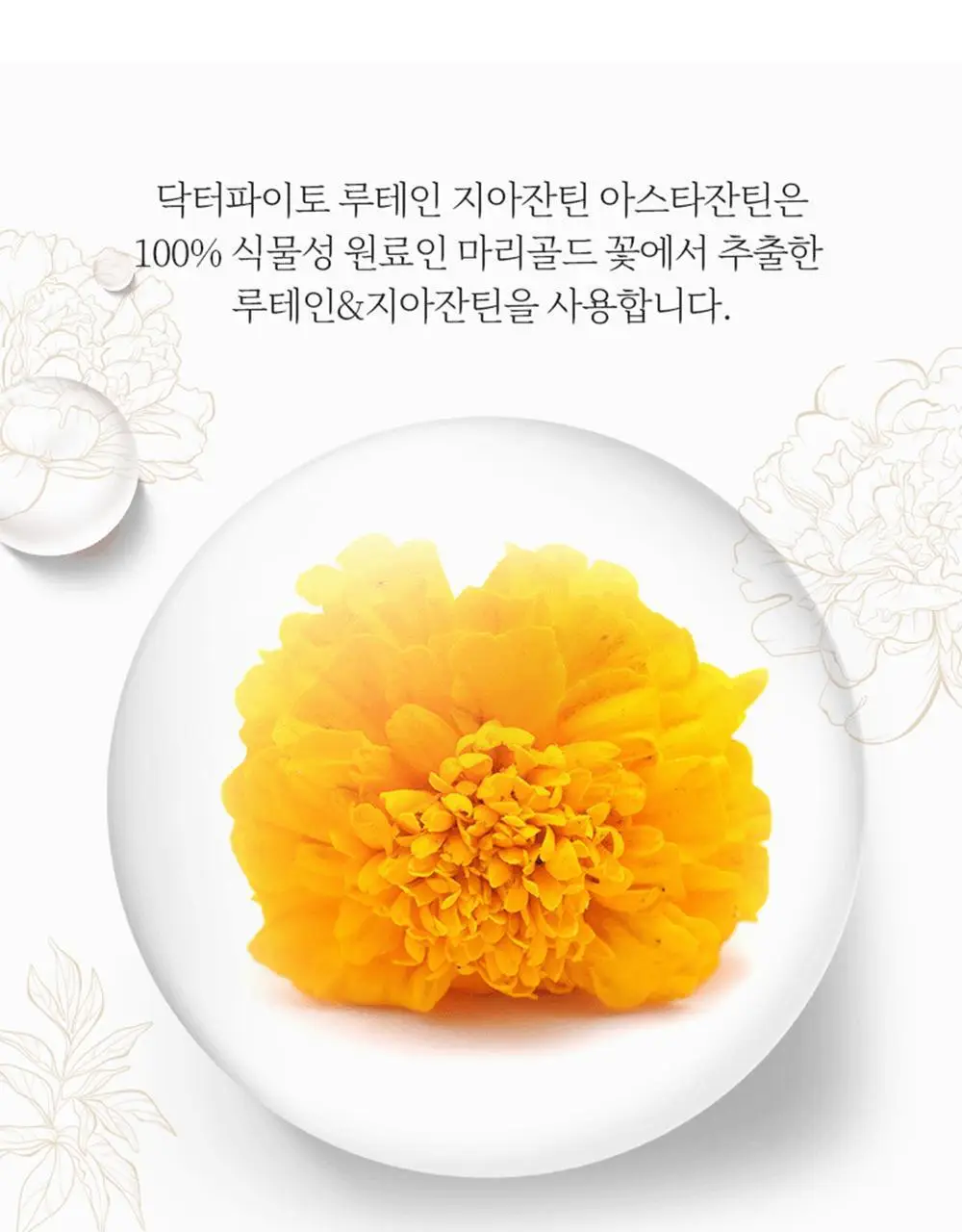닥터파이토 루테인 지아잔틴 아스타잔틴 30캡슐 (1개월분) 상세페이지 8