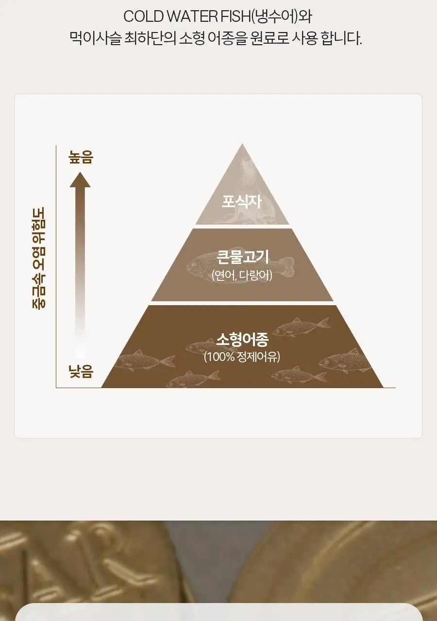 솔가 오메가-3 700 EPA&DHA (60캡슐/2개월분) 상세페이지 7