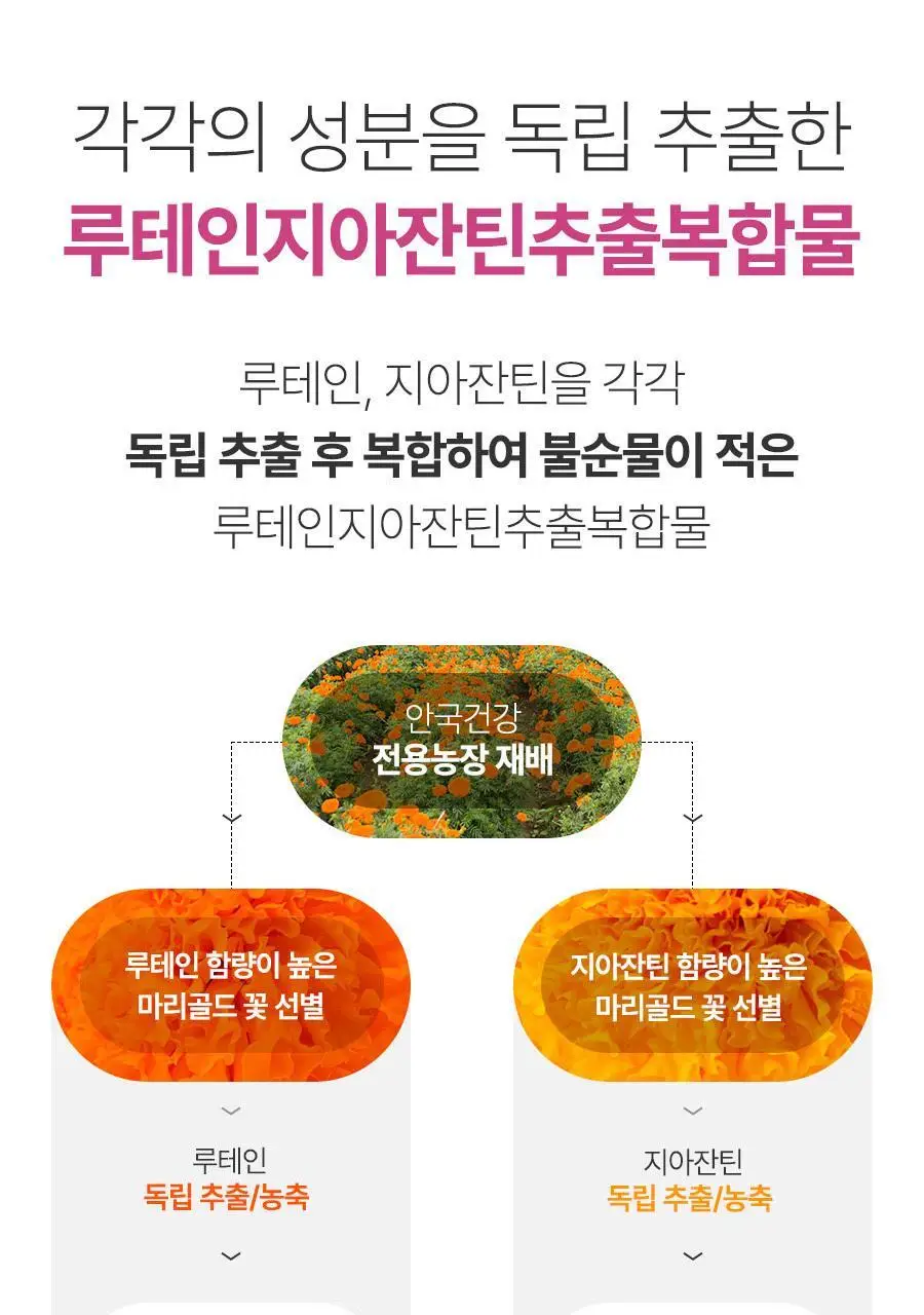아이원 루테인 지아잔틴 미니 60캡슐 (2개월분) (온) 상세페이지 20