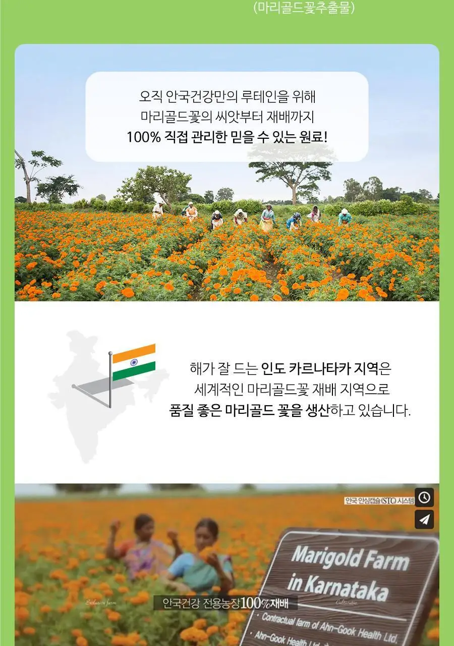 안국건강 눈에좋은 루테인 플러스 기프트 120캡슐 (4개월분) 상세페이지 9