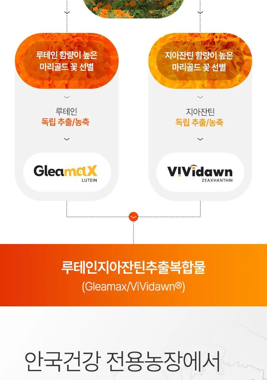 안국건강 아이원 루테인 지아잔틴 플러스 60캡슐 (2개월분) 상세페이지 21