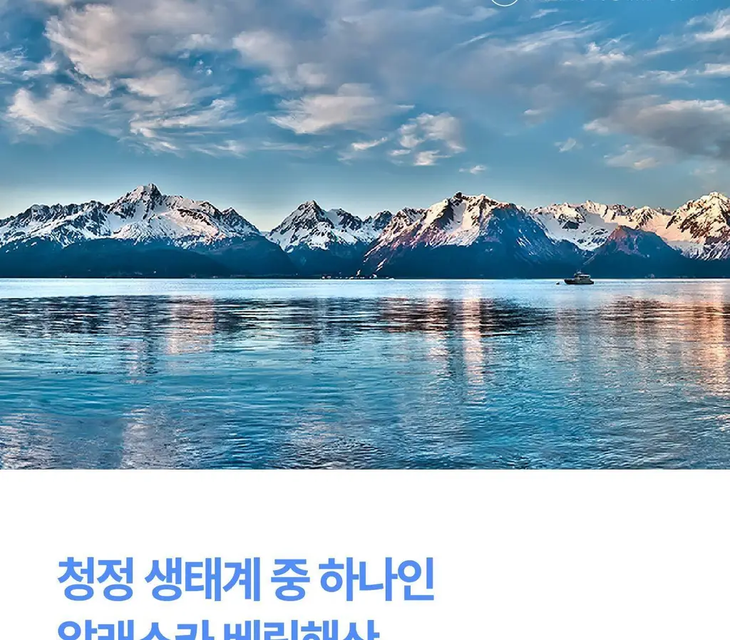 위타민 알래스카 오메가3 츄어블 60캡슐 / 30캡슐 상세페이지 15