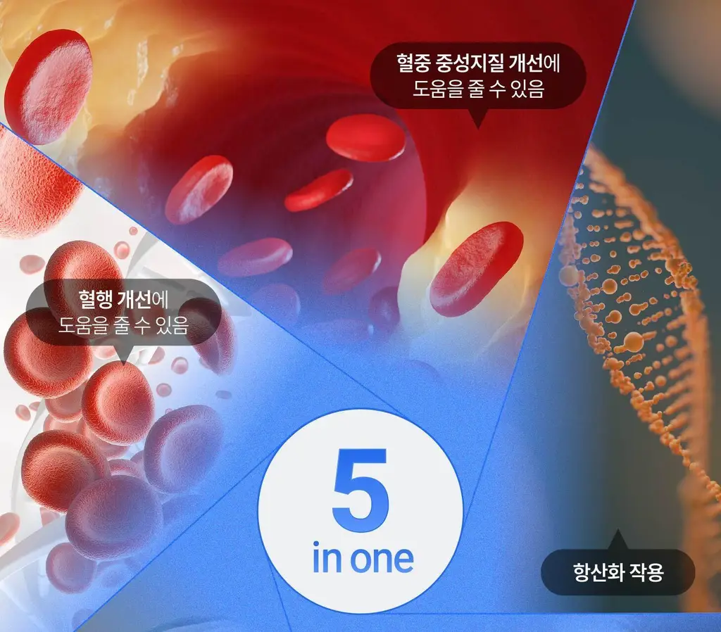 위타민 알래스카 오메가3 츄어블 60캡슐 / 30캡슐 상세페이지 25