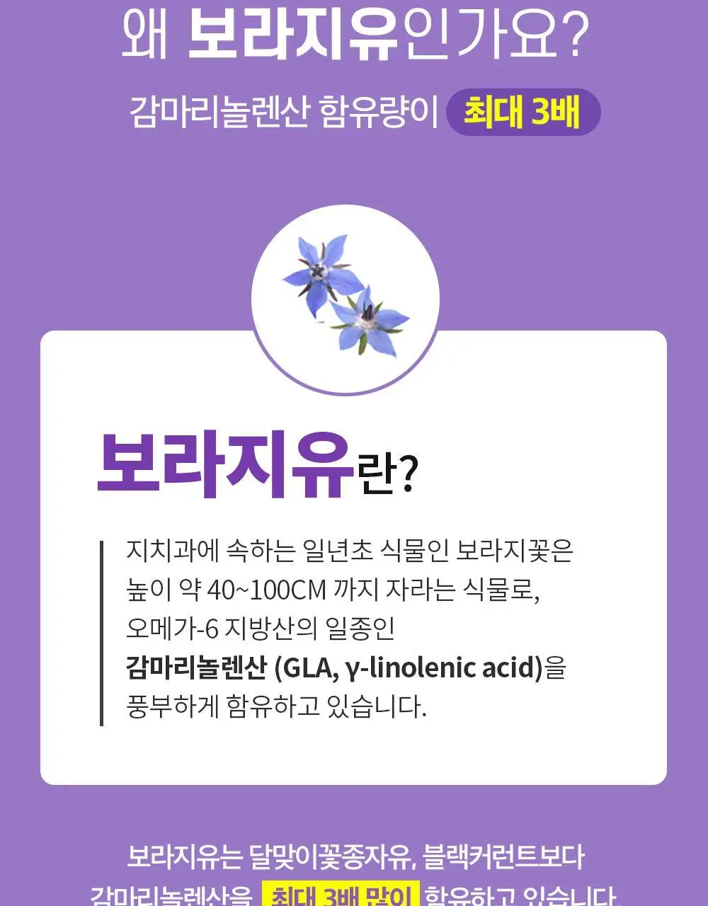 트루알엑스 그날 편한 보라지유 60캡슐 (1개월분) 상세페이지 8