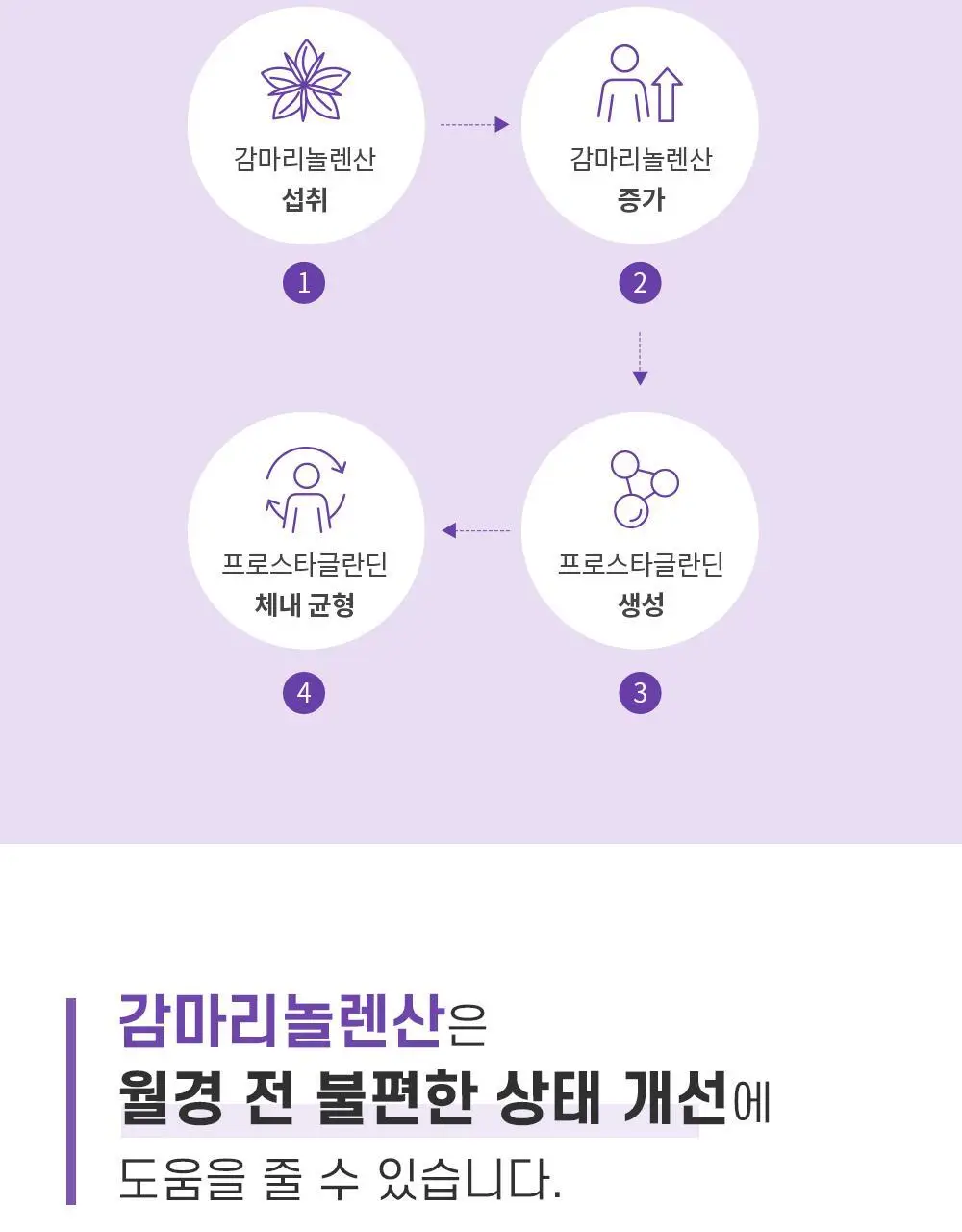 트루알엑스 그날 편한 보라지유 60캡슐 (1개월분) 상세페이지 11