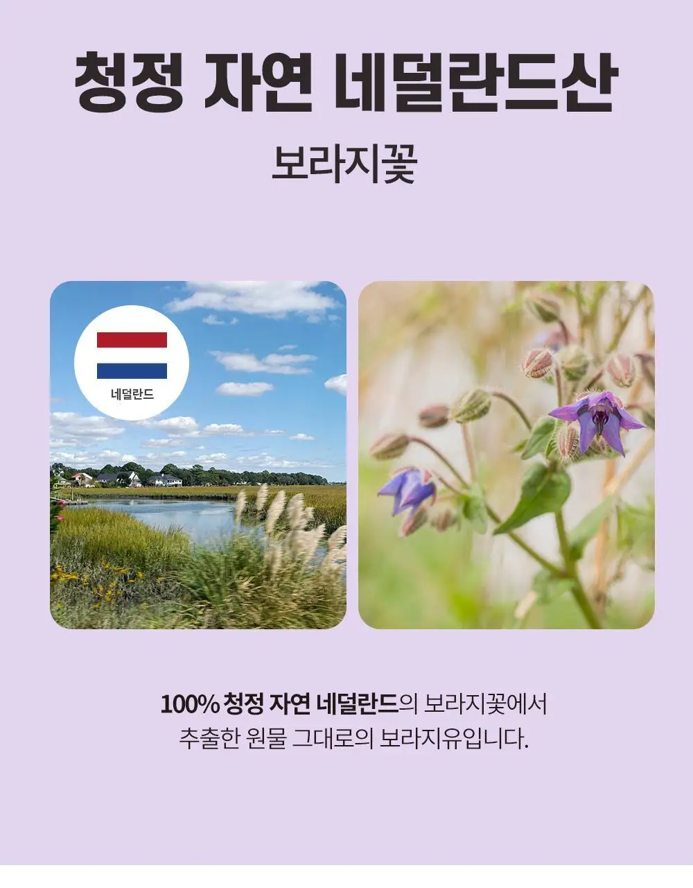트루알엑스 그날 편한 보라지유 60캡슐 (1개월분) 상세페이지 25