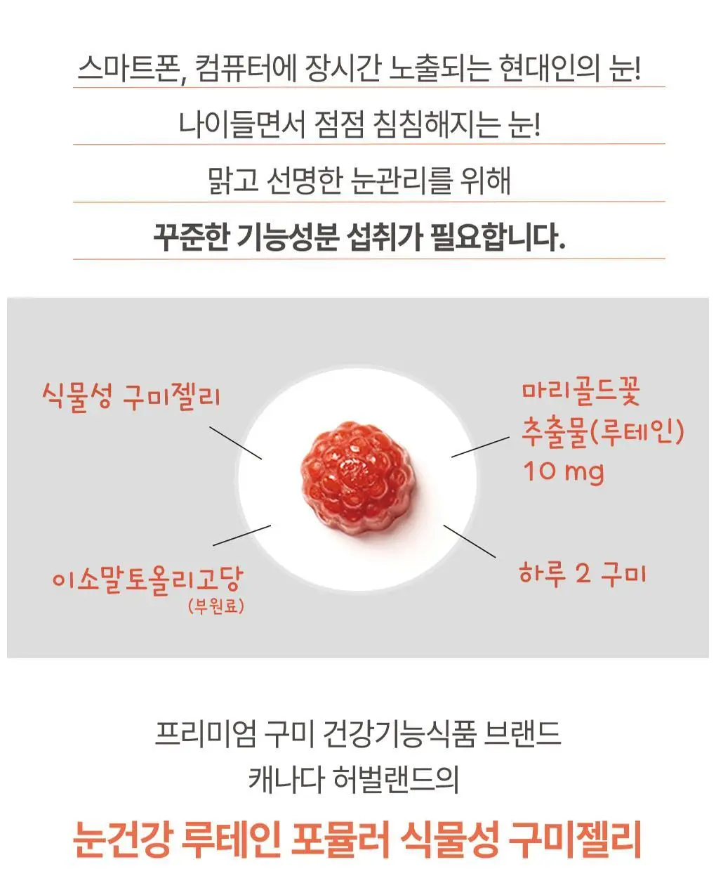 허벌랜드 눈건강 루테인 포뮬러 식물성 구미젤리 60구미(30일분) 상세페이지 3