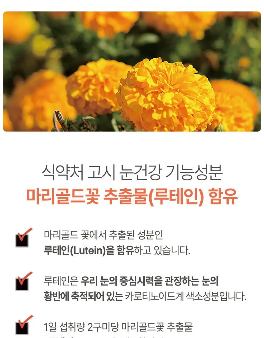 허벌랜드 눈건강 루테인 포뮬러 식물성 구미젤리 60구미(30일분) 상세페이지 4