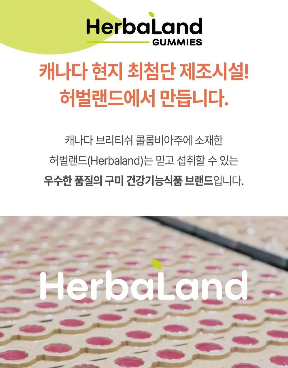 허벌랜드 눈건강 루테인 포뮬러 식물성 구미젤리 60구미(30일분) 상세페이지 18