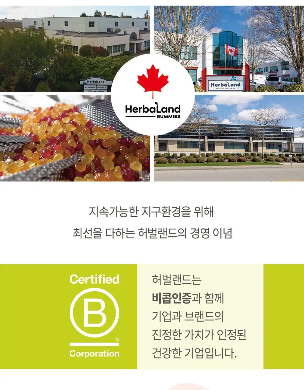 허벌랜드 눈건강 루테인 포뮬러 식물성 구미젤리 60구미(30일분) 상세페이지 20