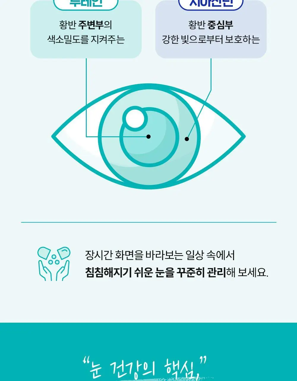 CJ웰케어 눈건강 루테인지아잔틴 40캡슐 (40일분) (OY단독) 상세페이지 11