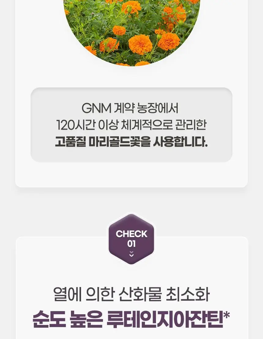 GNM 루테인 지아잔틴 오메가3 1박스 (총 1개월분) 상세페이지 21