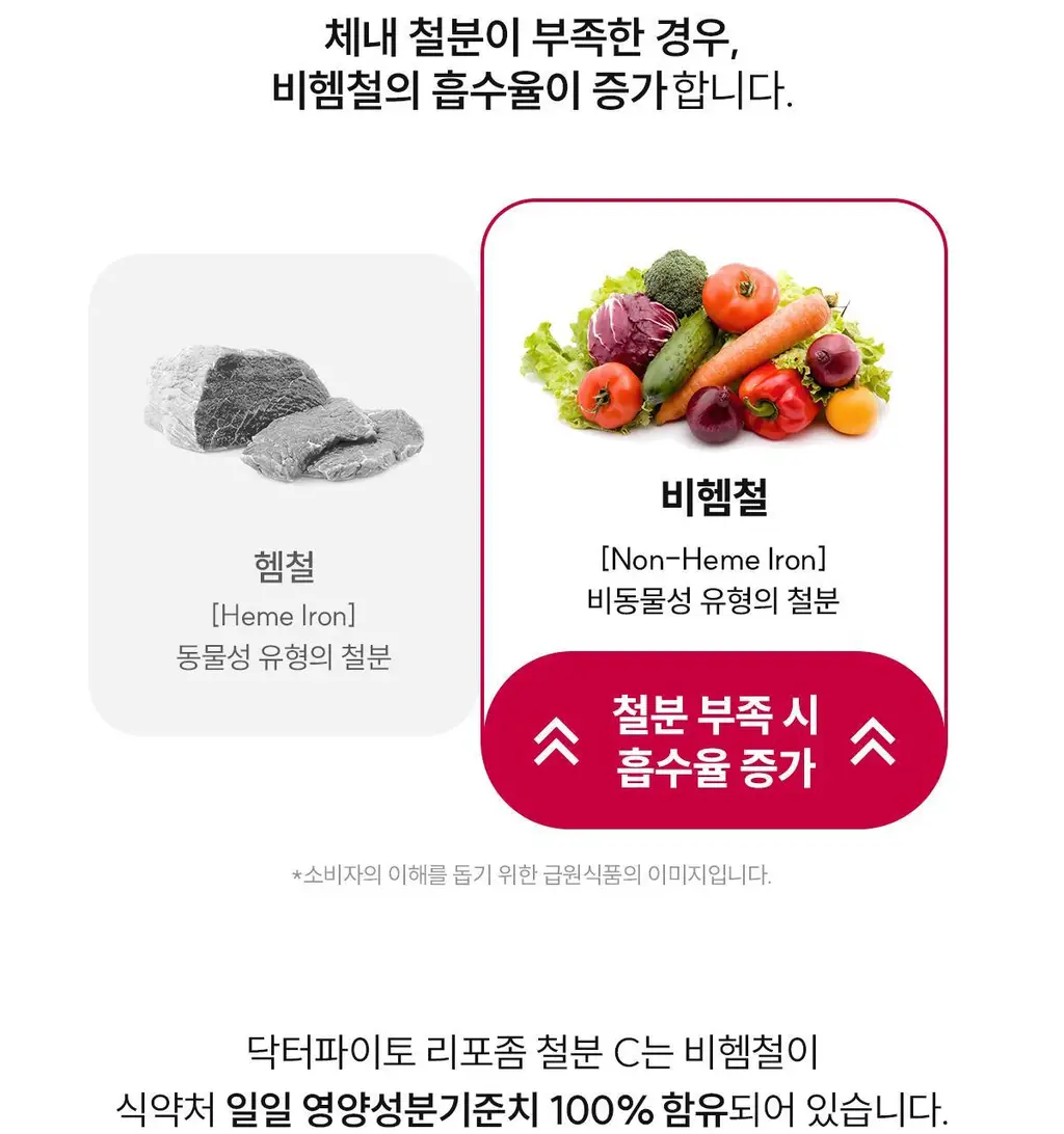 닥터파이토 리포좀 철분 C 30캡슐 (1개월분) 상세페이지 9