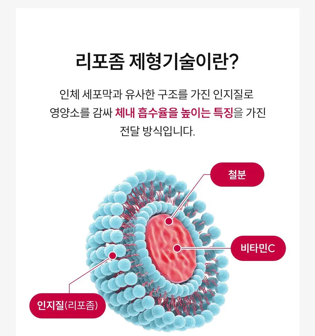 닥터파이토 리포좀 철분 C 30캡슐 (1개월분) 상세페이지 13