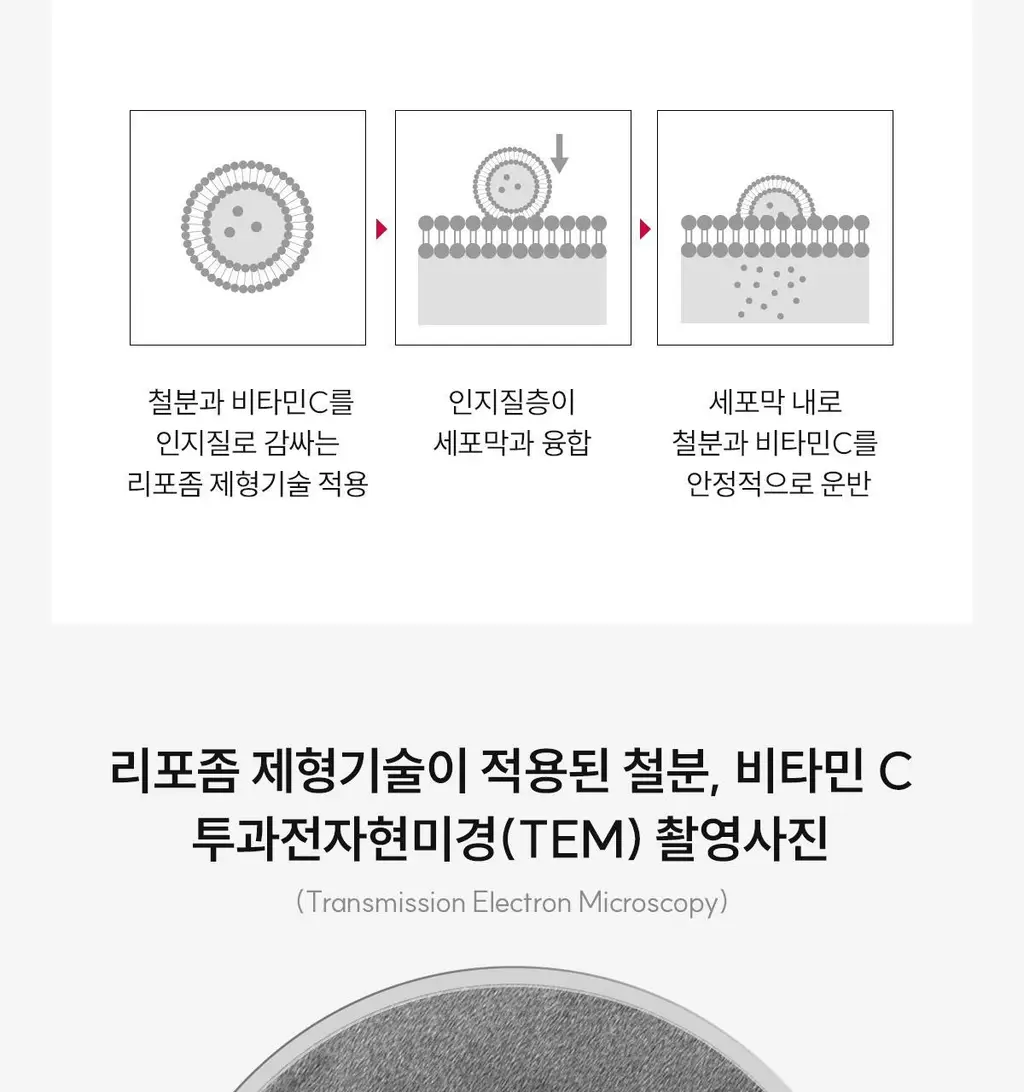 닥터파이토 리포좀 철분 C 30캡슐 (1개월분) 상세페이지 14